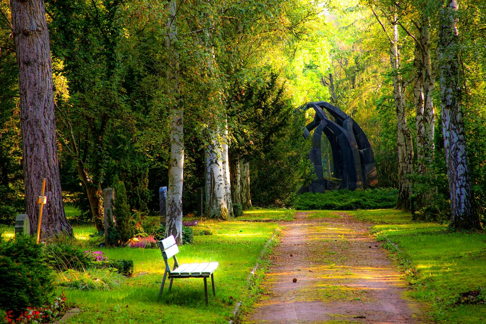 A sunlit, tree-lined park path
